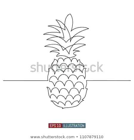Drawing Of Pineapple 450x470 Drawing Of Pineapple