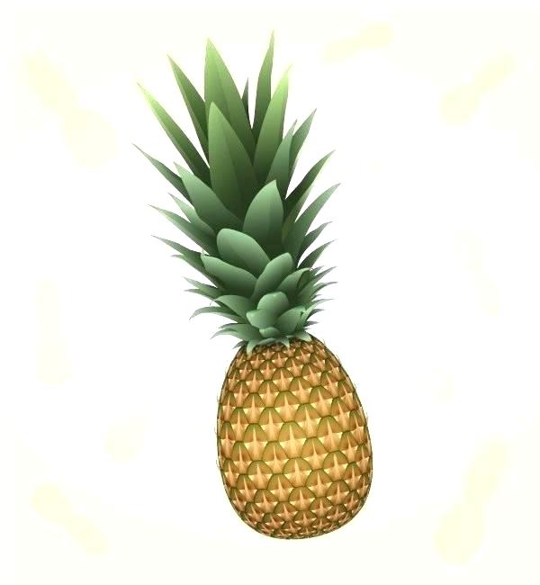 Easy Pineapple Drawing 600x650 Easy Pineapple Drawing