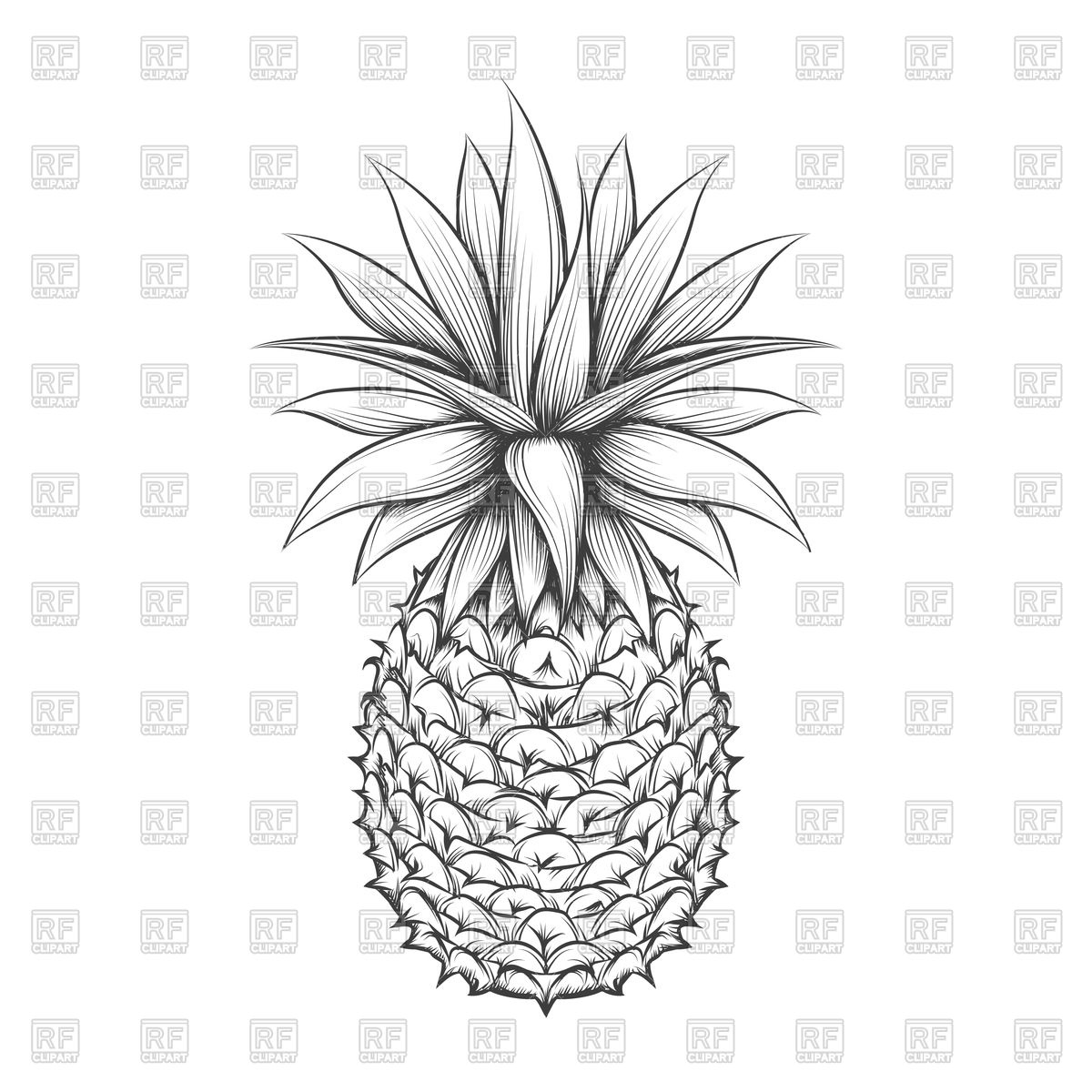 Hand Drawn Pineapple Vector Image Of Food And Beverages 1200x1200 Hand Drawn Pineapple Vector Image Of Food And Beverages