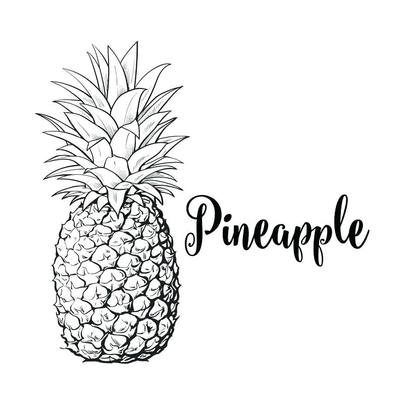 How To Draw A Pineapple 800x800 How To Draw A Pineapple