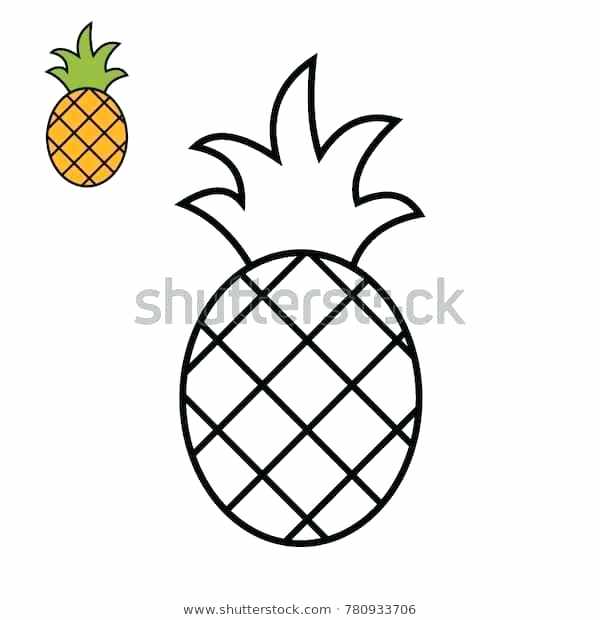 How To Draw Pineapple 600x620 How To Draw Pineapple