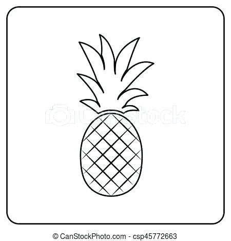 Pine Apple Drawing 450x470 Pine Apple Drawing