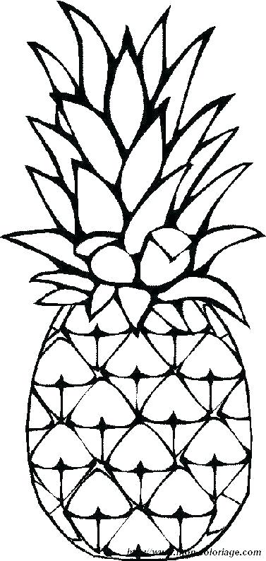 Pineapple Drawings 377x794 Pineapple Drawings