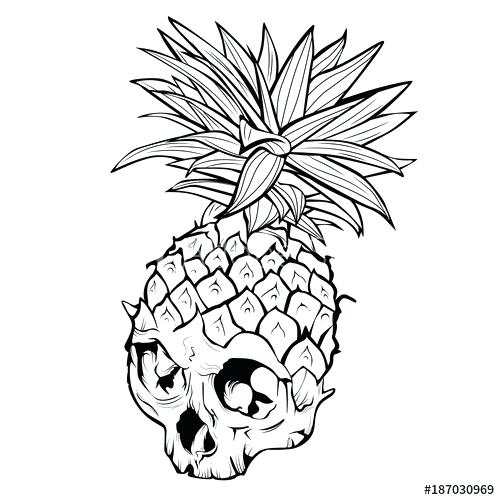 Sketch Of Pineapple Fruit 500x500 Sketch Of Pineapple Fruit