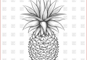 Pineapple Drawing Pineapple Painting 300x210 Pineapple Drawing Pineapple Painting