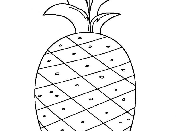Pineapple Drawing Outline Tutorial Vector Easy Realistic Step 734x548 Pineapple Drawing Outline Tutorial Vector Easy Realistic Step