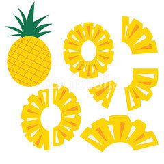 240x240 Pineapple Fruit Slices Set Icon Vector Illustration Icon Isolate