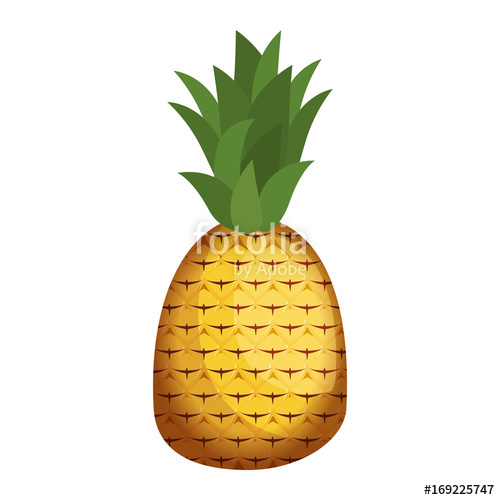 500x500 Sweet And Delicious Pineapple Icon Vector Illustration Graphic