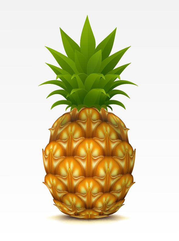 589x794 Pin On Pineapple Logo