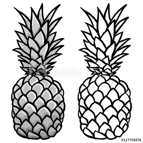 500x500 Pineapple In Grey And Outline Illustration Vector