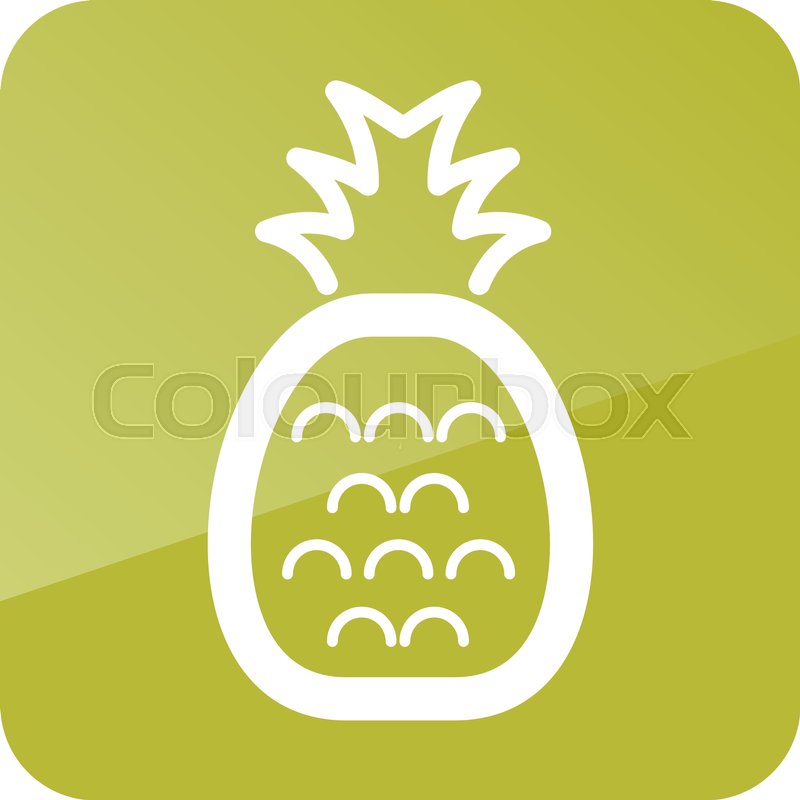 800x800 Pineapple Outline Icon Tropical Stock Vector Colourbox