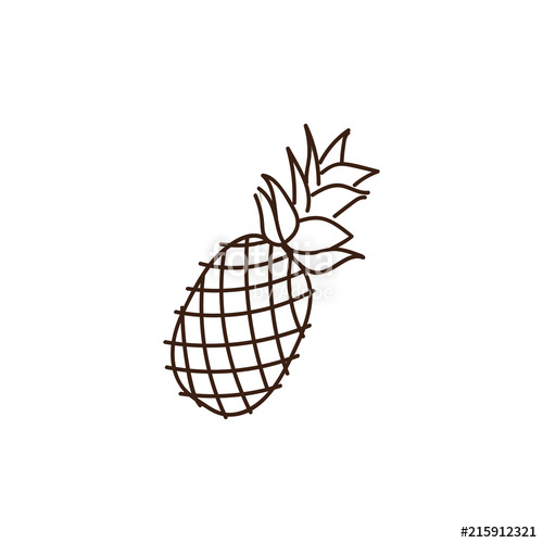 500x500 Pineapple Outline Illustration Vector Doodle Sketch Hand Drawn