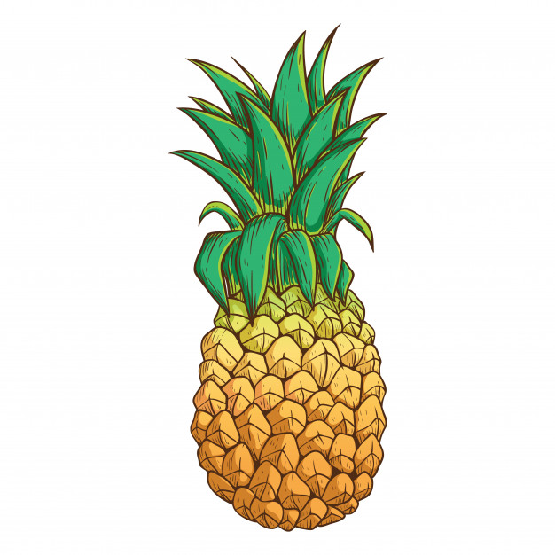 626x626 Pineapple With Color And Outline On White Background Vector