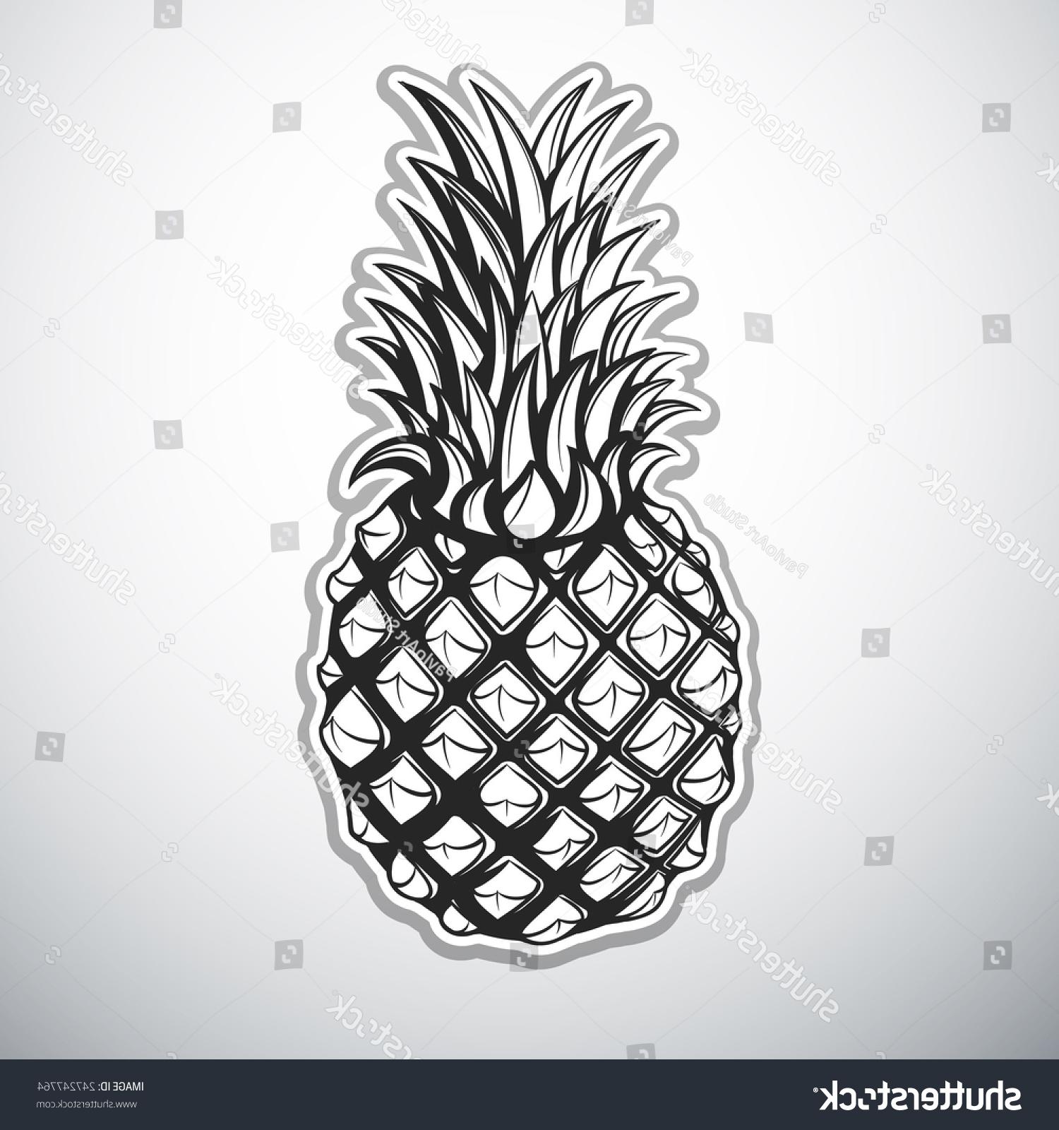 1500x1600 Top Pineapple Outline Vector Photos Vector Images Design