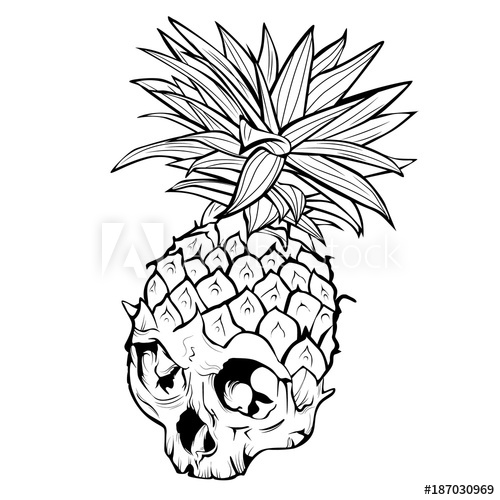 500x500 Vector Outline Skull Pineapple Countour Of Exotic Tropical Fruit