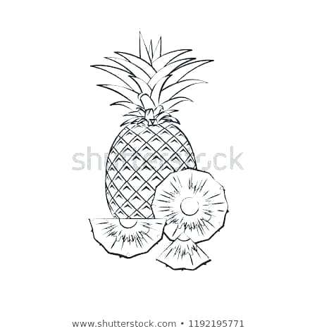 450x470 Outline Of A Pineapple