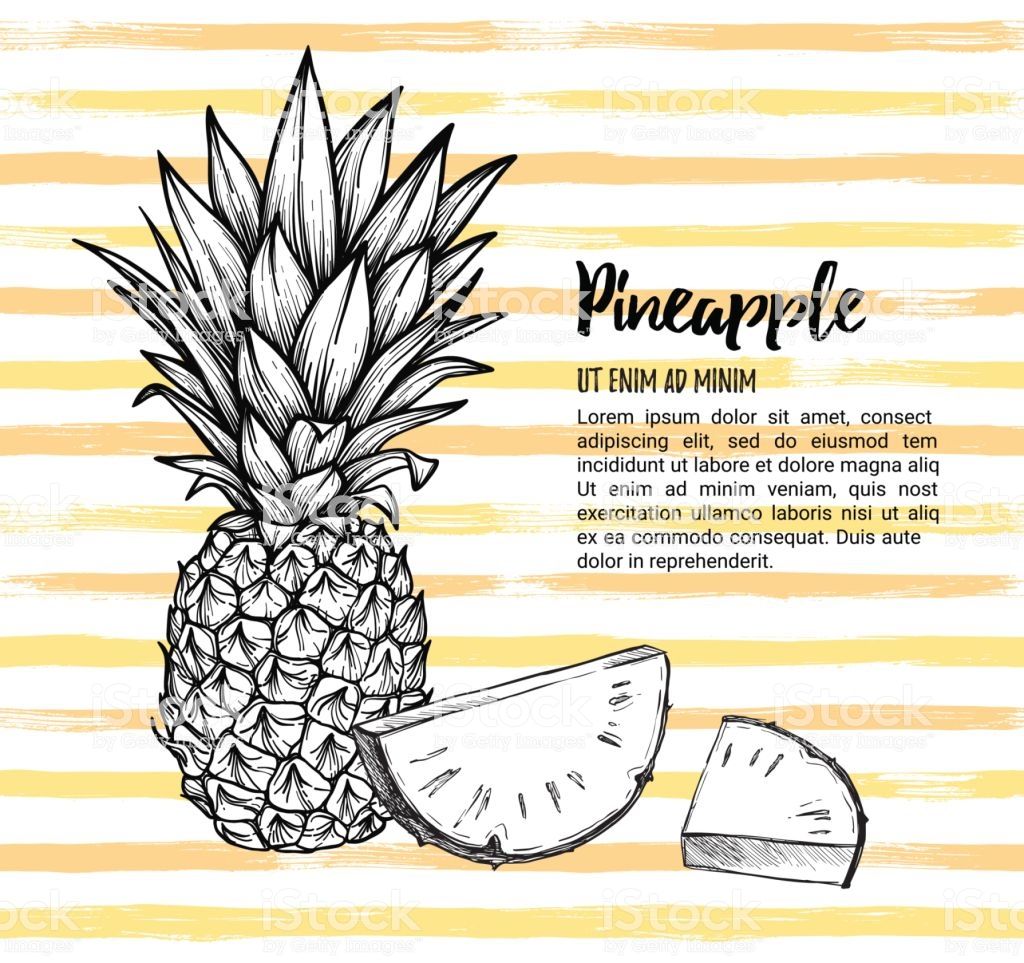 1024x963 Hand Drawn Vector Illustration