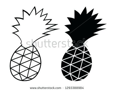 450x358 Outline Of A Pineapple