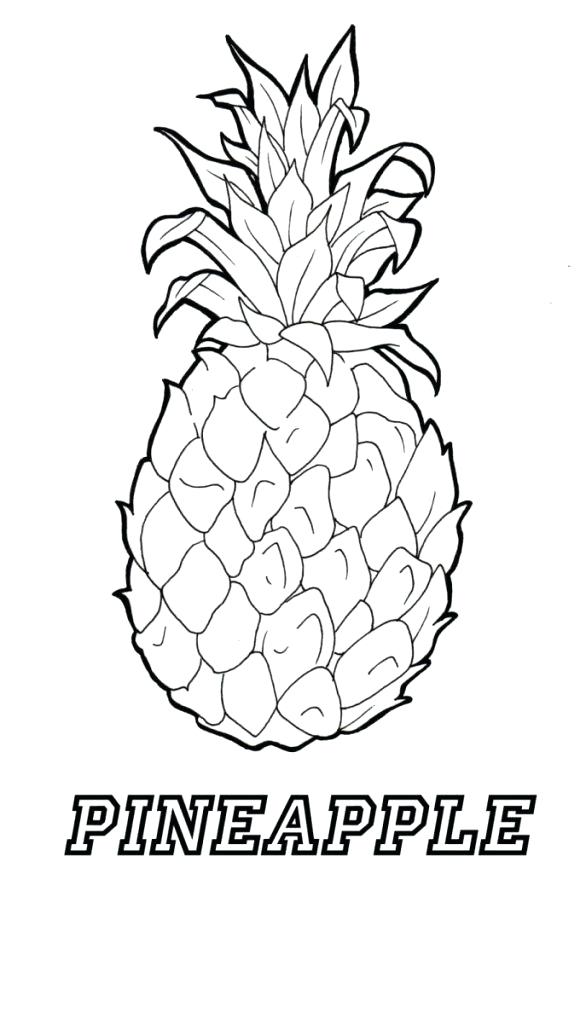 Pineapple Outline Vector at Vectorified.com | Collection of Pineapple ...