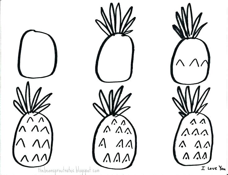 736x567 Outline Of A Pineapple