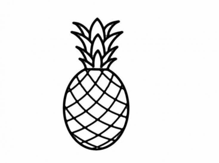 Pineapple Outline Vector at Vectorified.com | Collection of Pineapple ...