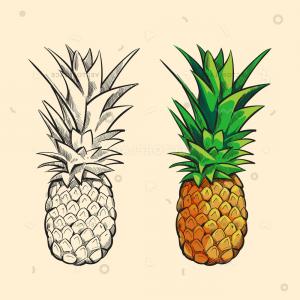 300x300 Pineapples Pattern Background Cute Cartoons Vector Illustration