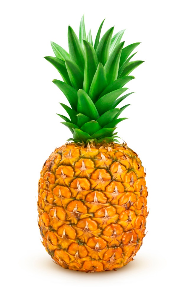 626x993 Pineapple Vectors, Photos And Free Download