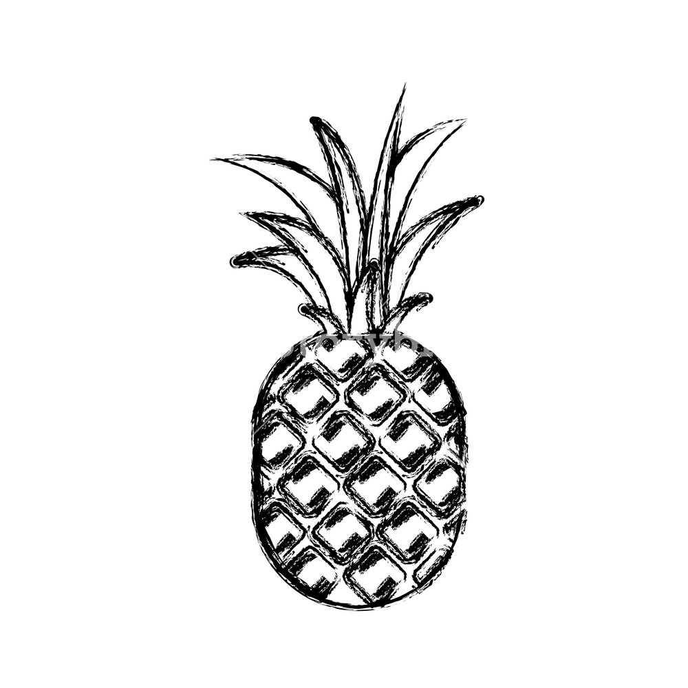 1000x1000 Blurred Thick Silhouette Of Pineapple Fruit Vector Illustration
