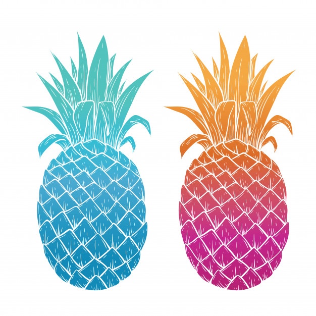 626x626 Huge Collection Of 'pineapple Silhouette Vector' Download More