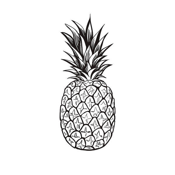 600x600 Pineapple