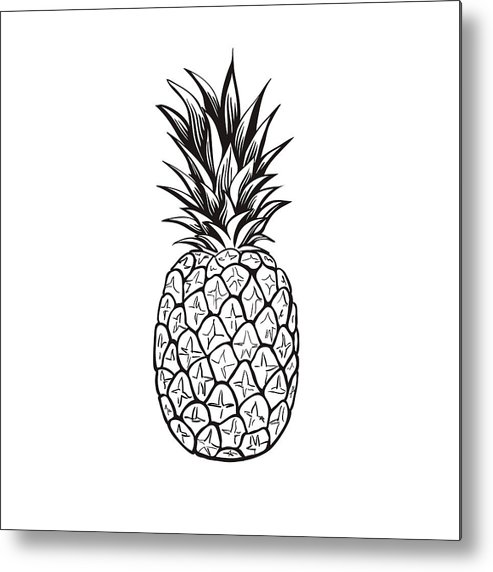 493x572 Pineapple