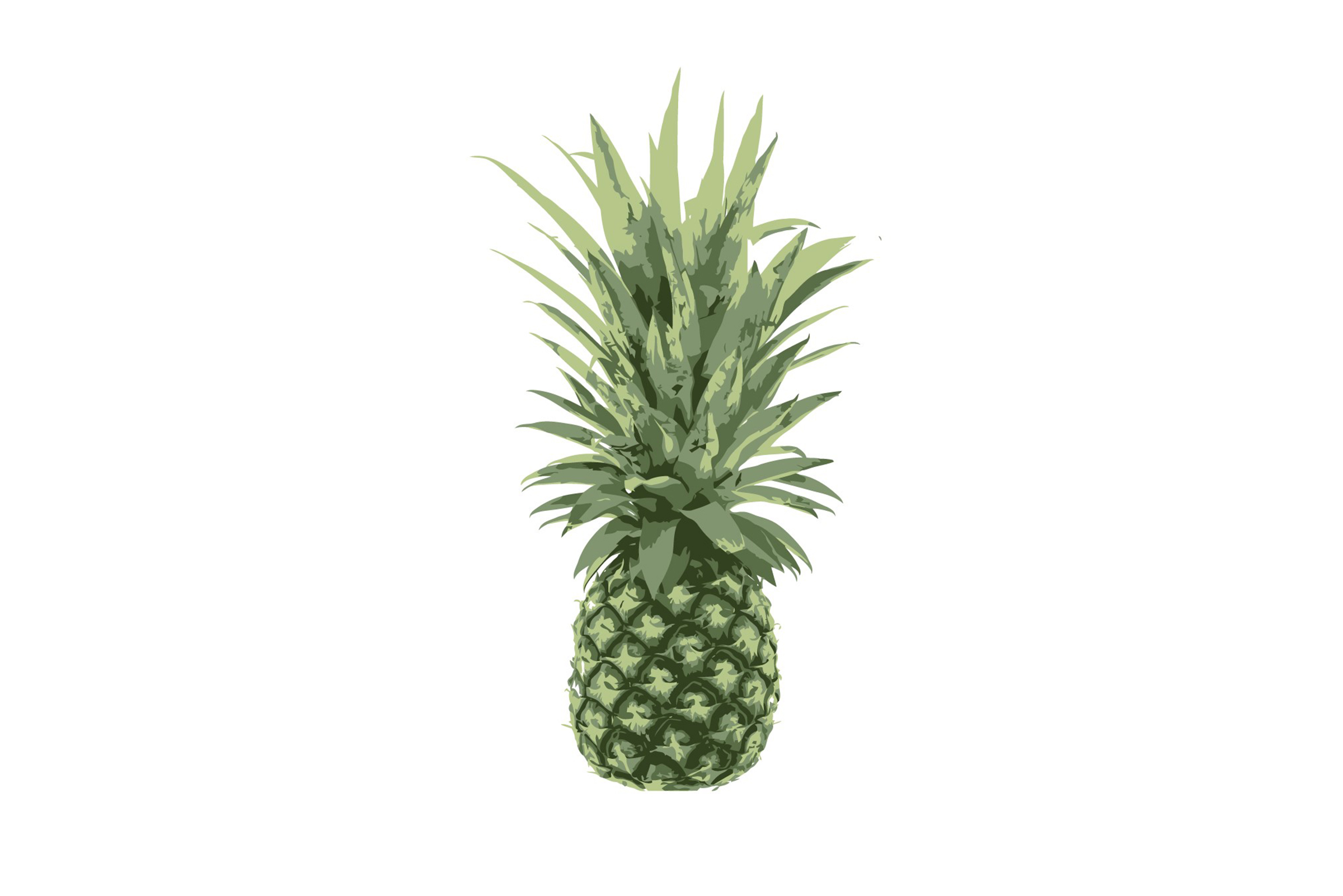 2400x1601 Pineapple Vector