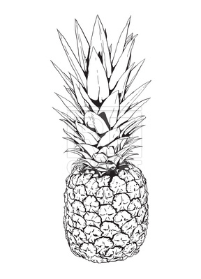 288x400 Pineapple Vector Image Of Food And Beverages Czaroot
