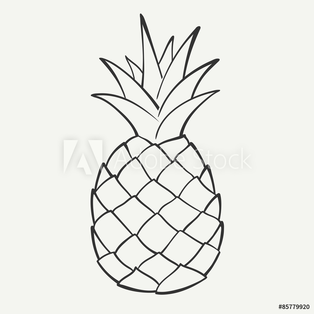 1000x1000 Fotografie, Obraz Outline Black And White Image Of A Pineapple