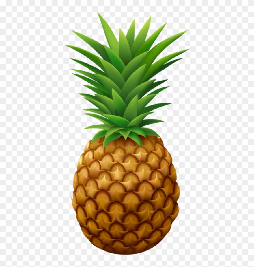 Free Png Pineapple Png Vector Png Clipart 880x922 Free Png Pineapple Png Vector Png Clipart