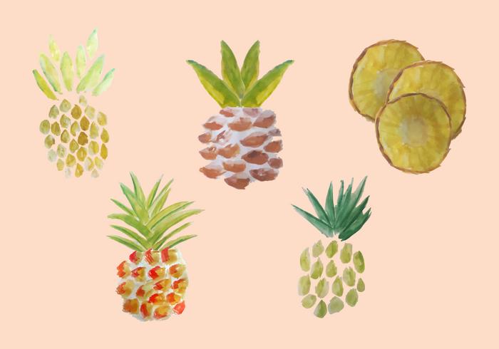 Free Watercolor Pineapple Vector Pack 700x490 Free Watercolor Pineapple Vector Pack