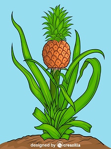 Fresh Pineapple Vector Free Download Creazilla 224x300 Fresh Pineapple Vector Free Download Creazilla