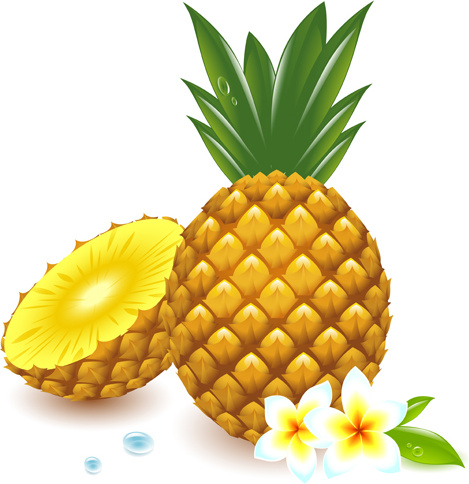Fresh Pineapple Vector Graphic Free Vector In Encapsulated 469x484 Fresh Pineapple Vector Graphic Free Vector In Encapsulated