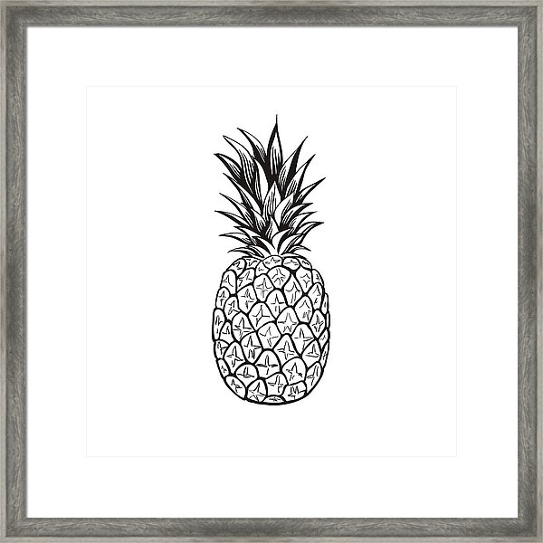 Pineapple 600x600 Pineapple