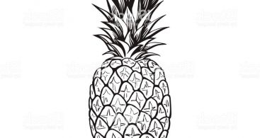Pineapple Vector Archives Vector Images Design 367x195 Pineapple Vector Archives Vector Images Design