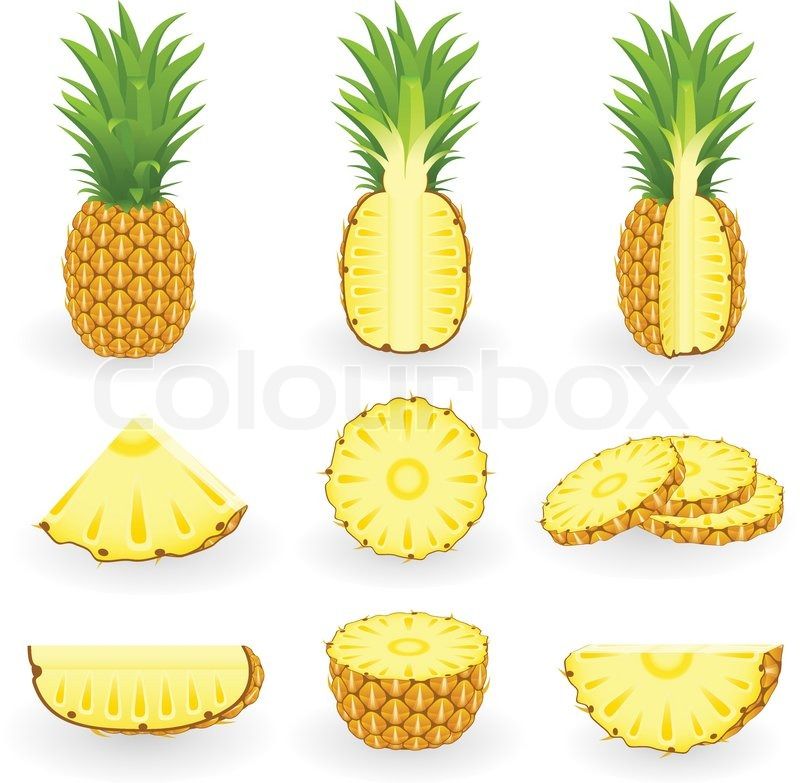 Pineapple Layers In Pineapple Vector, Pineapple 800x783 Pineapple Layers In Pineapple Vector, Pineapple