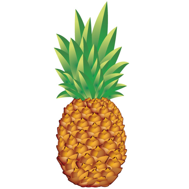 Pineapple Vector 620x620 Pineapple Vector