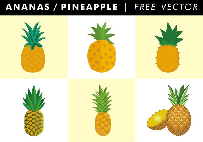 Ananas Pineapple Free Vector 700x490 Ananas Pineapple Free Vector