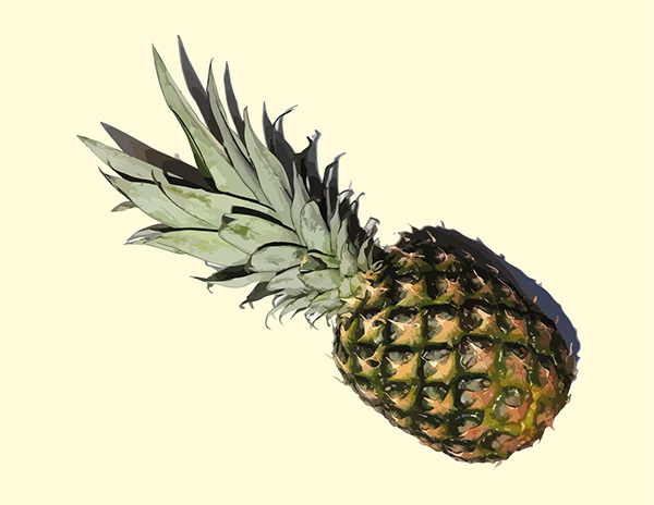 Pineapple Vector Art On Behance 600x464 Pineapple Vector Art On Behance