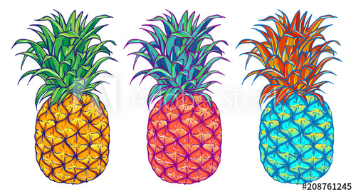 Pineapple Vector Illustration Set Exotic Tropical Fruit Hand 500x272 Pineapple Vector Illustration Set Exotic Tropical Fruit Hand