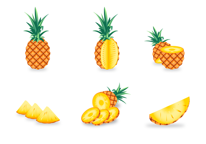 Free Ananas Vector 700x490 Free Ananas Vector