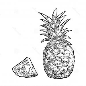 300x300 Pineapple Black And White Print Vector Savoyuptown