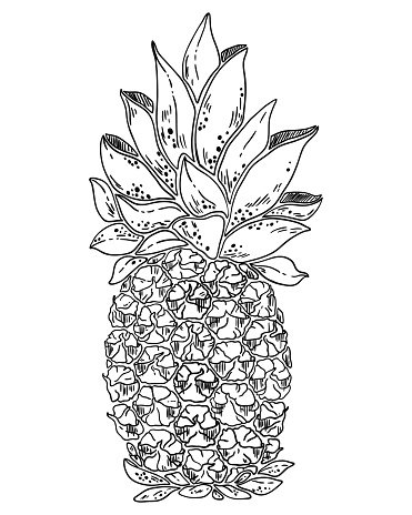 371x464 Pineapple Vector Black And White Premium Clipart