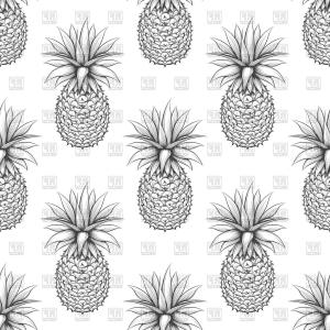 300x300 Black And White Seamless Pattern With Hand Drawn Pineapple Vector