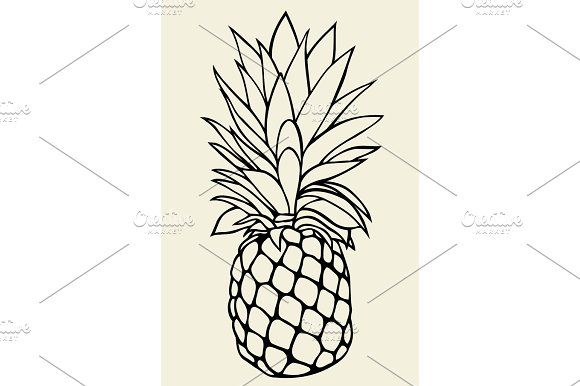 580x386 Pineapple Vector Illustration